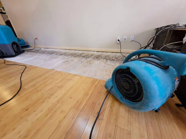 Professional Structural Drying technician working in Monroe, IA